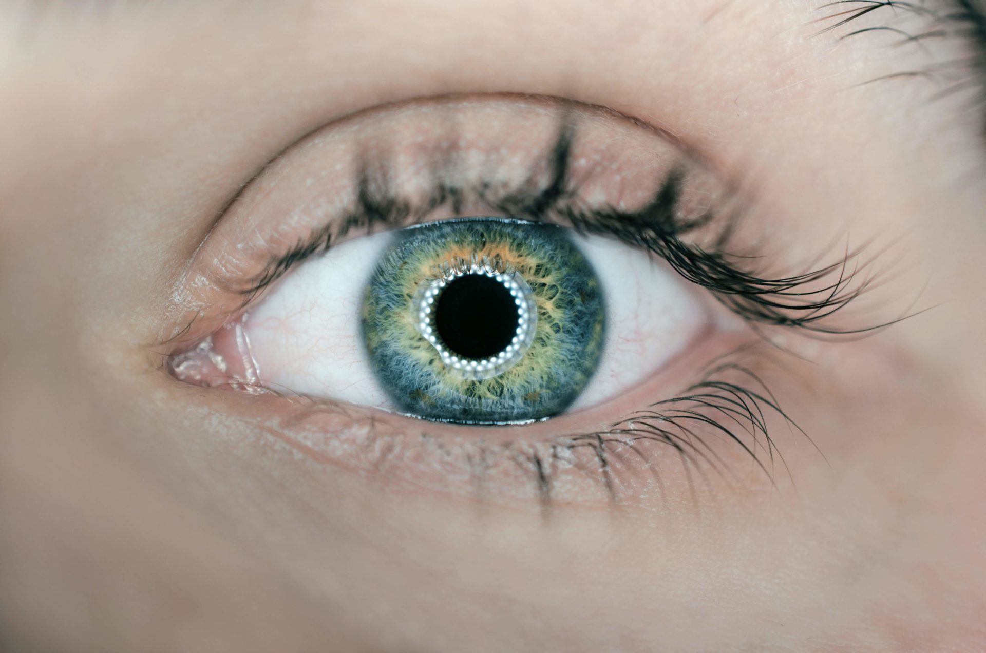 Close up of eye iris