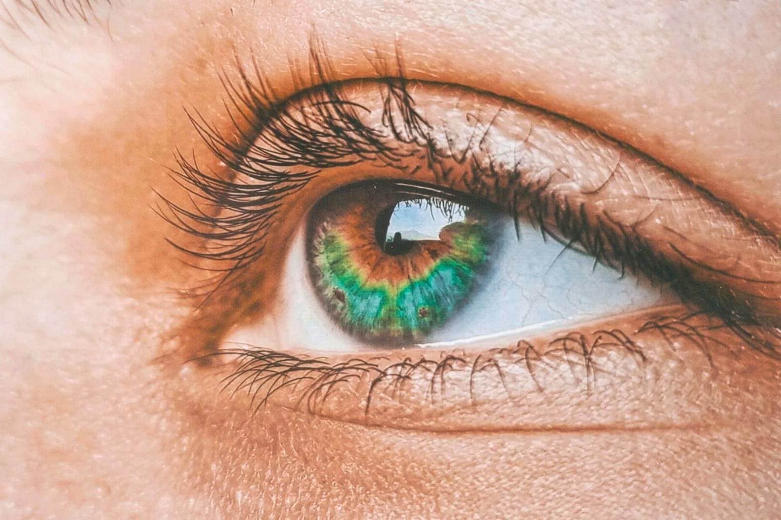 muti-colored eye iris